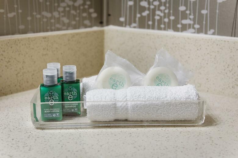 Hotel Monte Carlo Inn Airport Suites