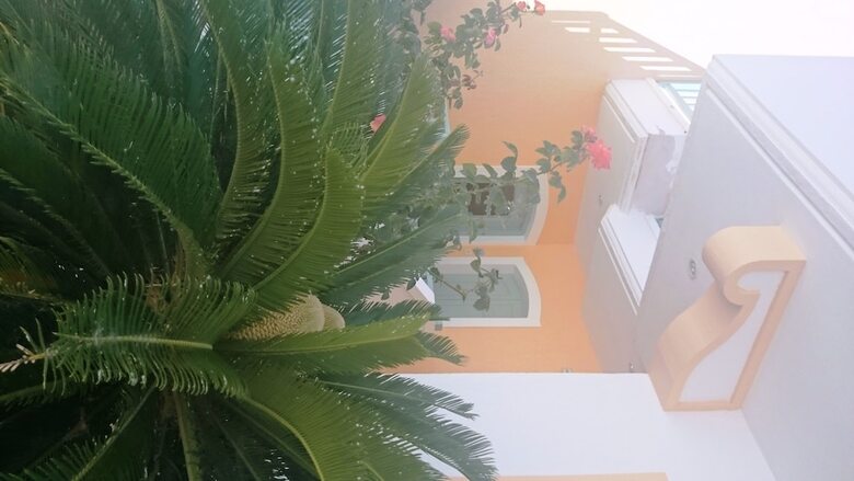 Hotel Amazones Sun Studios