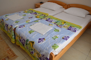 Hotel Kangaroo