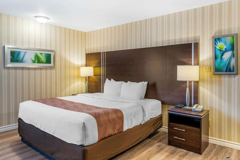 Hotel Quality Inn  Suites Brossard