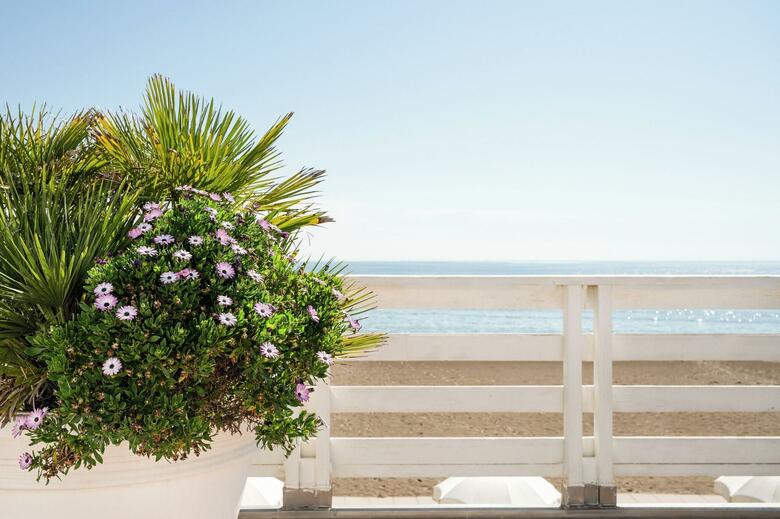 Hotel Mosaico Beach Resort