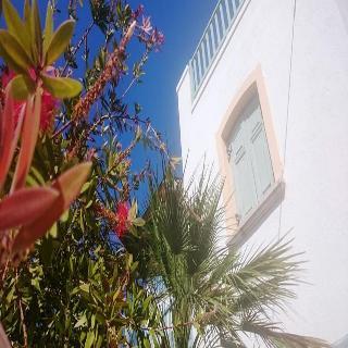 Hotel Amazones Sun Studios