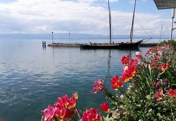 Hotel Le Chabi