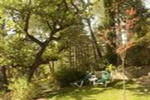 Hotel Villa Borghese