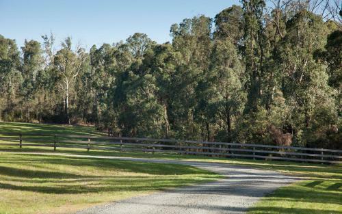 Bed & Breakfast Saladin Lodge