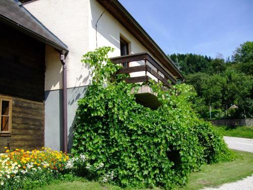 Apartamento Ferienwohnungen Bauernhof Schilcher