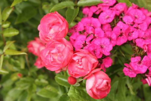 Bed & Breakfast Landlust Ischl
