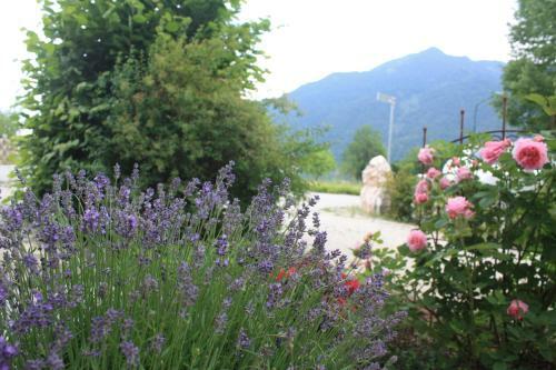 Bed & Breakfast Landlust Ischl