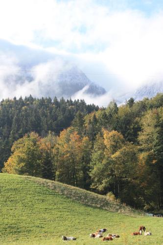 Bed & Breakfast Landlust Ischl