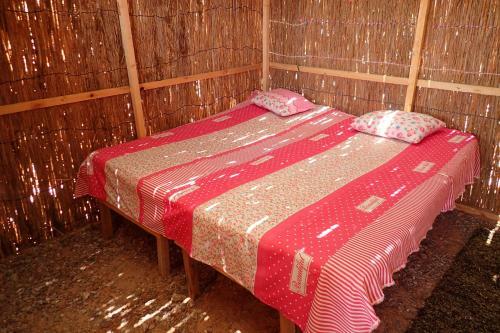 Bedouin Star (ras Shetan Area)