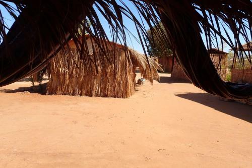 Bedouin Star (ras Shetan Area)