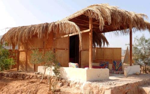 Bedouin Star (ras Shetan Area)
