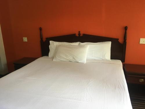Motel Budget Inn