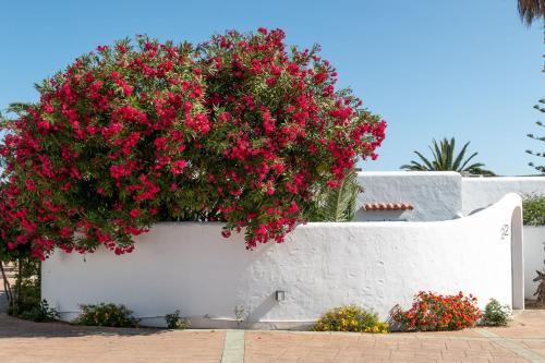 Villa Residencial Bogamar�