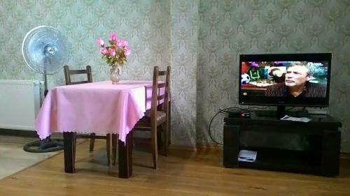 Apartment Kazbegi Marina