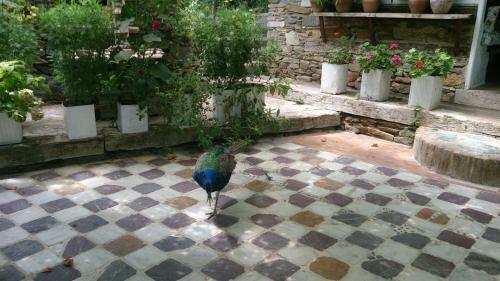 Bed & Breakfast Nisanyan Hotel