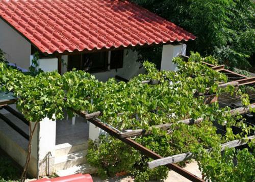 Apartamento Caviri