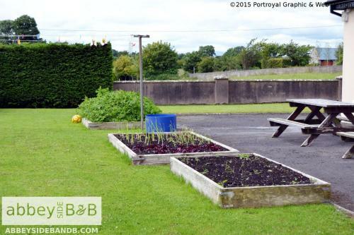 Abbeyside B&B