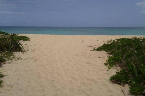 Beach Nest