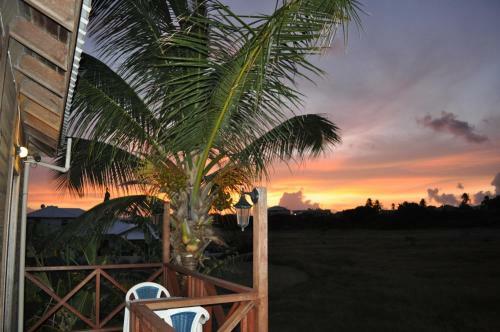 Apartamentos White Coconut Studio