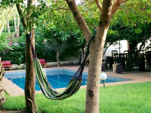 Bed & Breakfast Umoja Guesthouse II