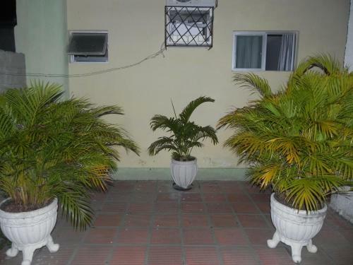 Hostal Pousada Zenite