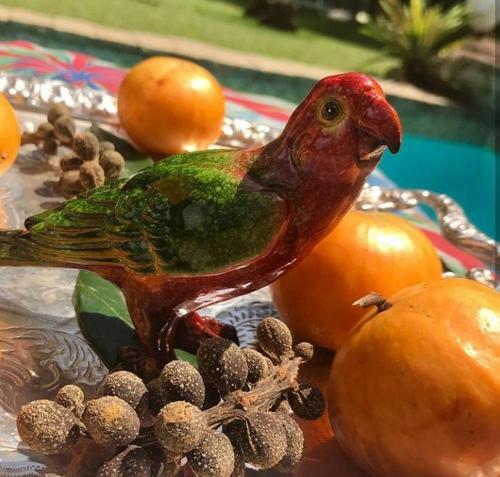 Hostal Pousada Villa Jambo