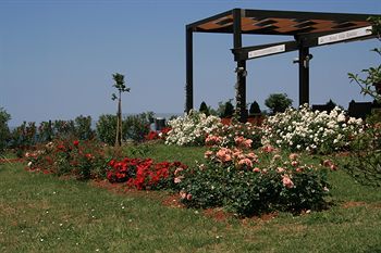 Hotel Villa Rosetta
