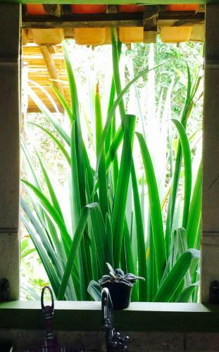 Ecovilla Cara�vas