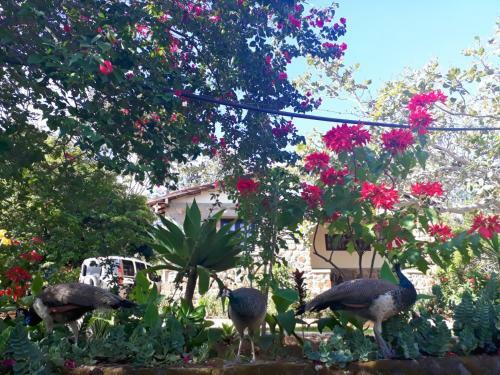 Hostal Pousada Caf� Do Brejo
