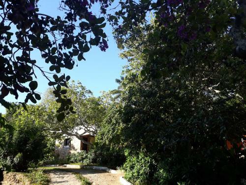 Hostal Pousada Caf� Do Brejo
