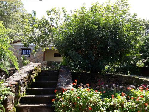 Hostal Pousada Caf� Do Brejo