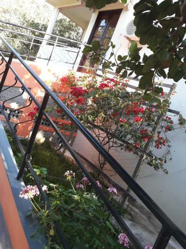 Hostal Pousada Caf� Do Brejo