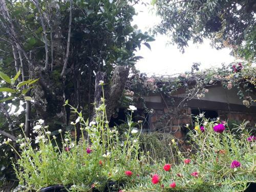 Hostal Pousada Caf� Do Brejo