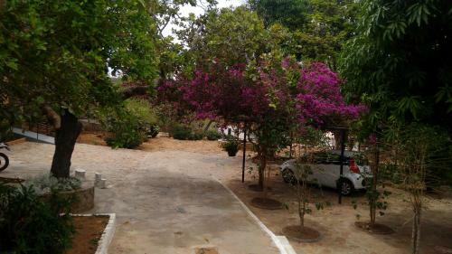 Hostal Pousada Caf� Do Brejo