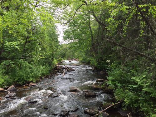 Bed & Breakfast Loft Nature Laurentides