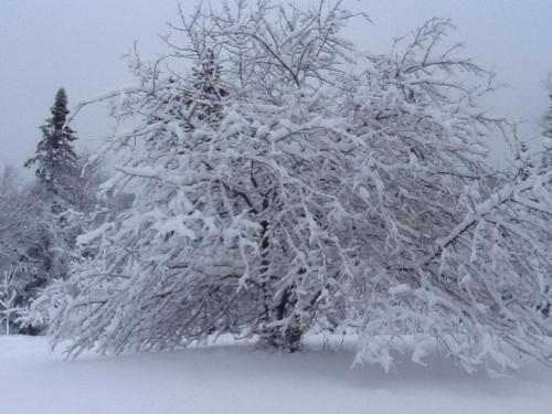 Bed & Breakfast Loft Nature Laurentides