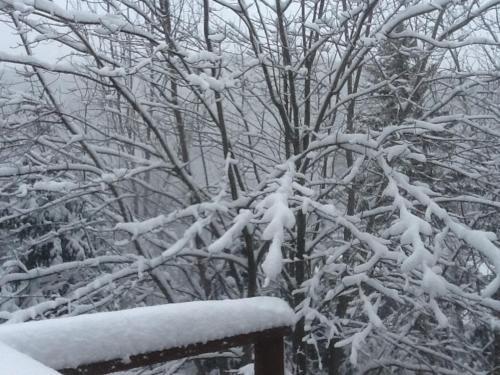 Bed & Breakfast Loft Nature Laurentides