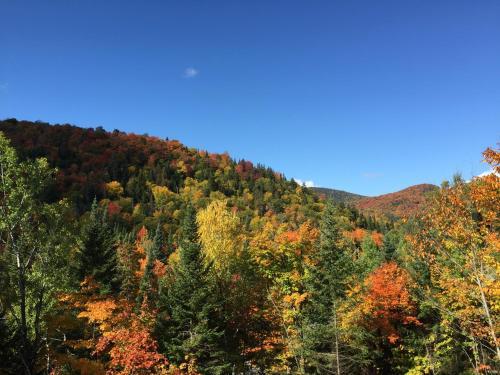 Bed & Breakfast Loft Nature Laurentides