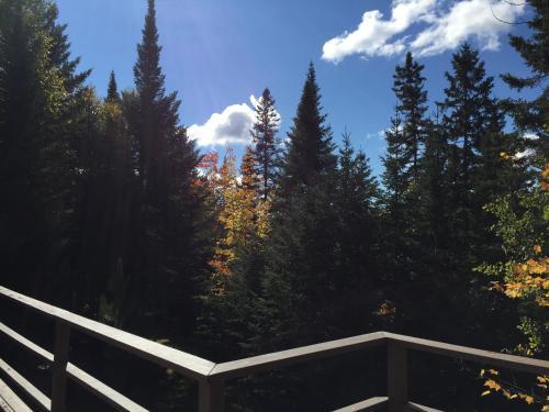 Bed & Breakfast Loft Nature Laurentides