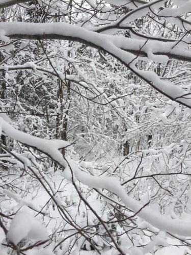 Bed & Breakfast Loft Nature Laurentides