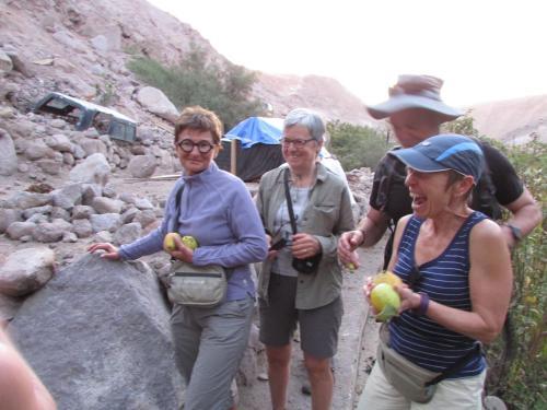 Agroturismo Caba�as Turisticas Gua�acagua Valle De Codpa