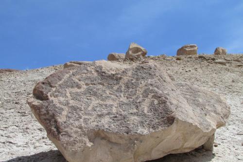 Agroturismo Caba�as Turisticas Gua�acagua Valle De Codpa