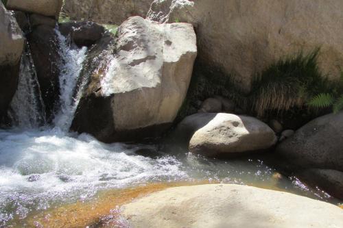 Agroturismo Caba�as Turisticas Gua�acagua Valle De Codpa