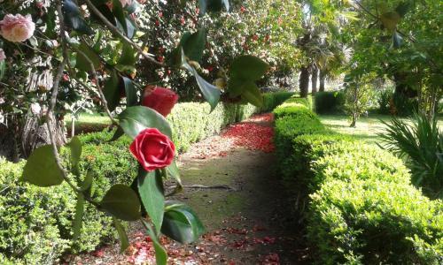 Hostal Centro Mari�polis