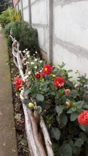 Caba�as Rhucamai