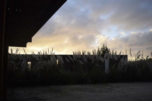 Lobos Loft