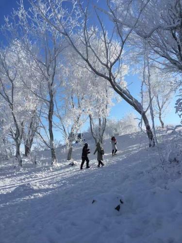 Songhua Lake Qingshan Snow View Apartment