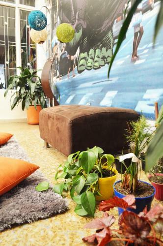 Hospedaje Camp�n