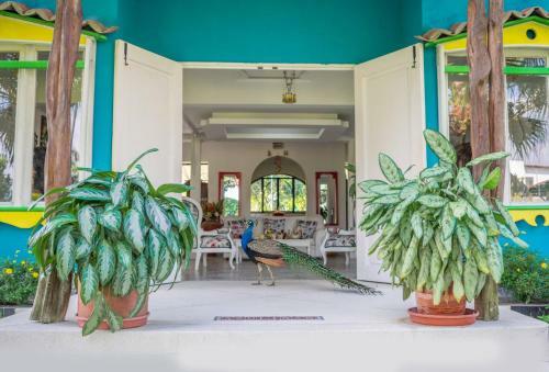 Agroturismo Finca Hotel Azulinas